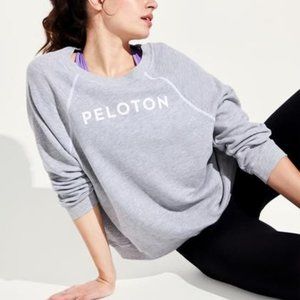 Wildfox x Peloton Gray Sweater EUC Small